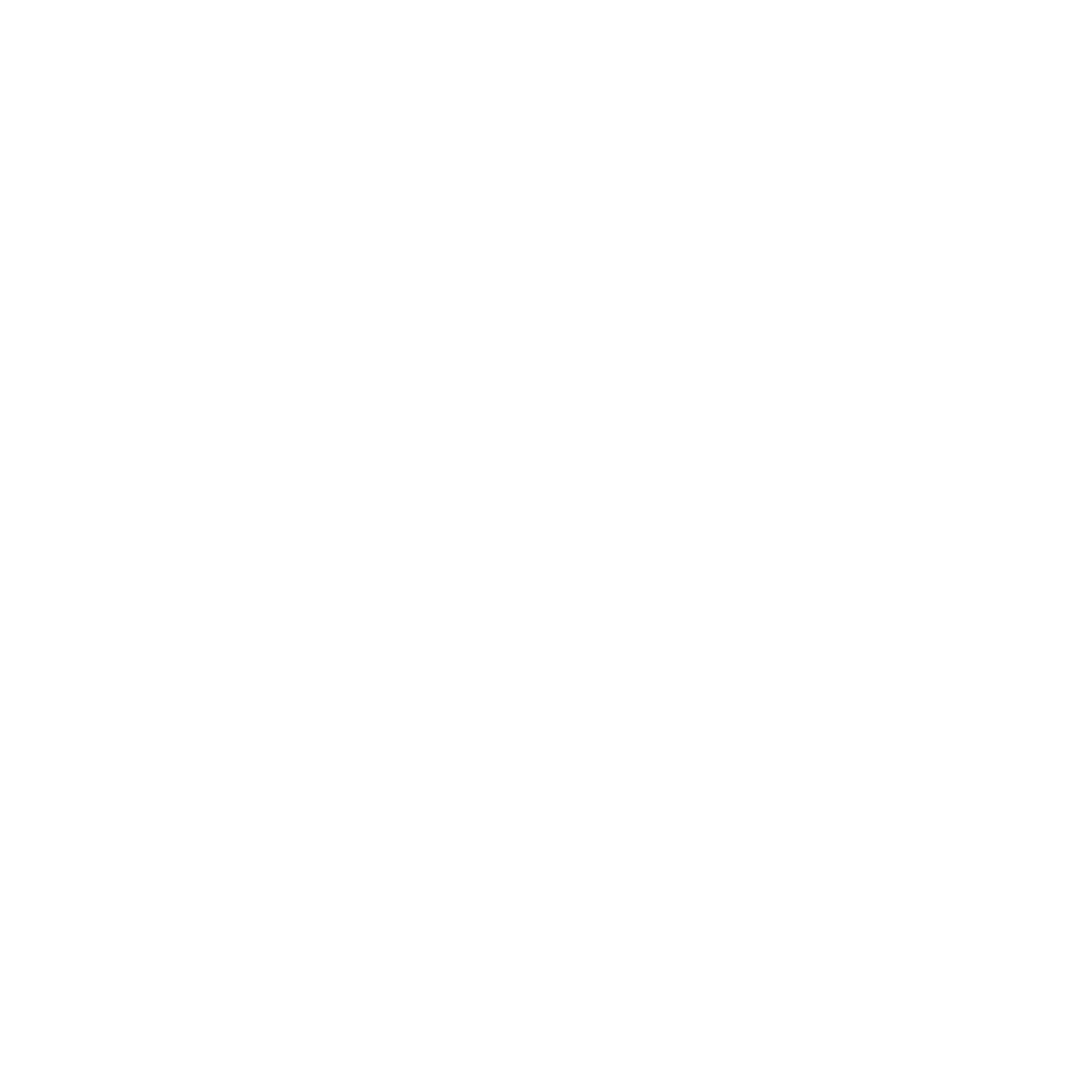 VIM Logo